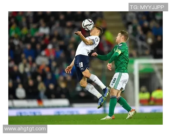 爱尔兰与北爱尔兰激战正酣比分揭晓精彩瞬间回顾