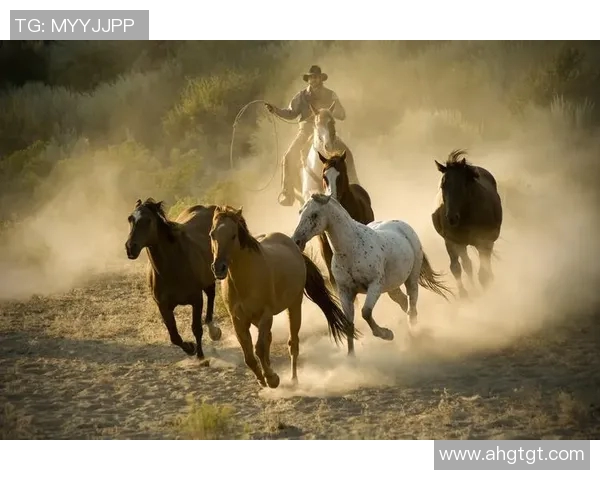达尼洛:从绿茵场上的拼搏到生活中的坚持与梦想 达尼洛:从绿茵场上的拼搏到生活中的坚持与梦想