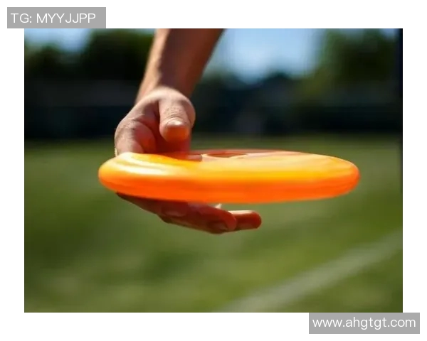 飞盘新手必看：轻松掌握节奏与技巧的入门指南