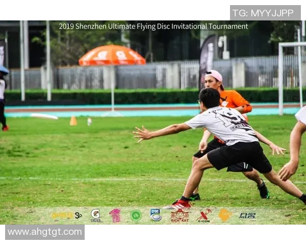 飞盘力量榜单揭晓深圳飞盘队荣登第一名展现强大实力