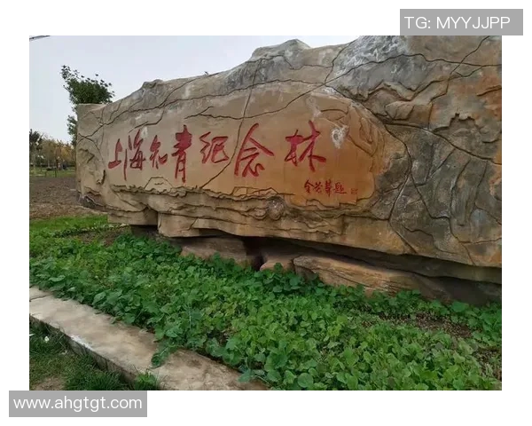 新疆咔什古城与上海的文化碰撞与旅游魅力对比探讨